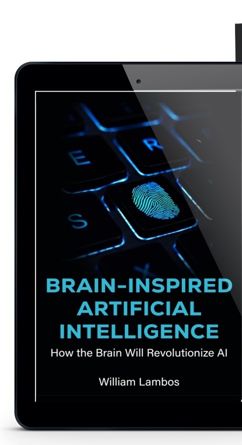 Ebook edition of Brain-Inspired Artificial Intelligence